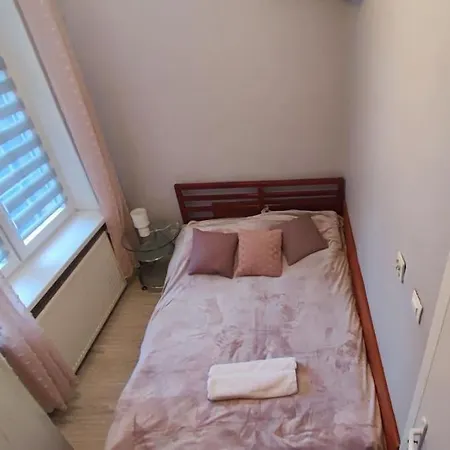 Mieszkanie Przy Zielonej Bramie Gdansk Exterior photo